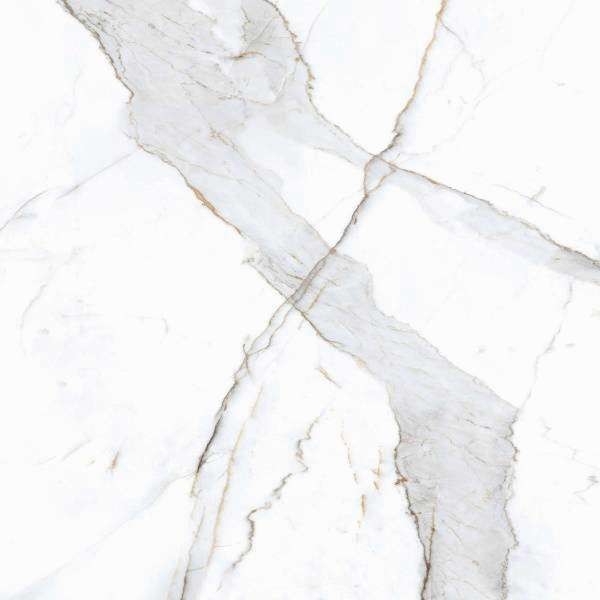 PrimaVera Tile Керамогранит Керамогранит 60x60 Матовый Dario Matt — фото 5