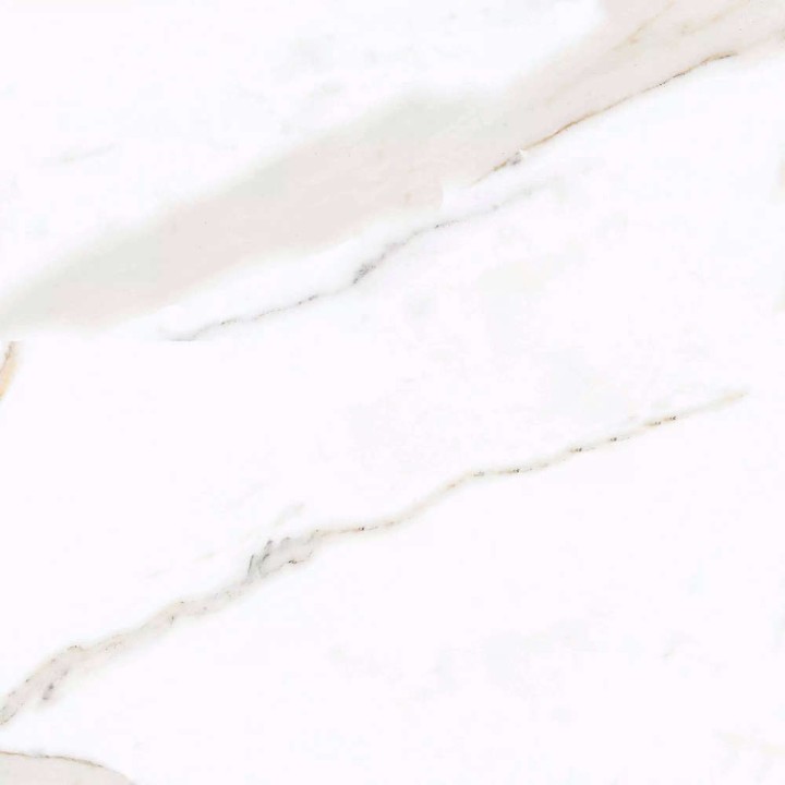 PrimaVera Tile Керамогранит Керамогранит 60x60 Polished Regal Carara Полированный — фото 2