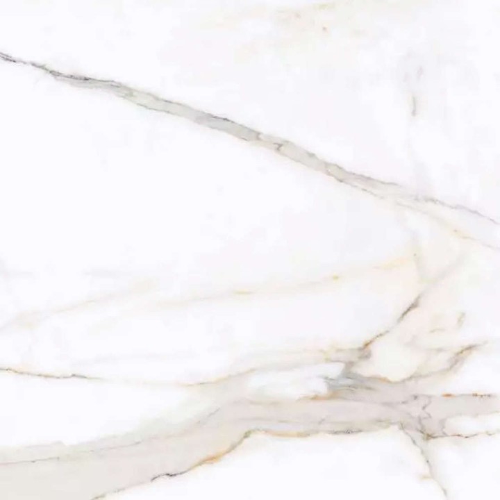 PrimaVera Tile Керамогранит Керамогранит 60x60 Polished Regal Carara Полированный — фото 5