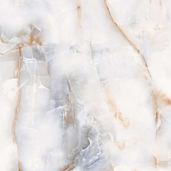 Полированный PrimaVera Tile Керамогранит Керамогранит 60x60 Polished Rodas Light Polished — фото 8