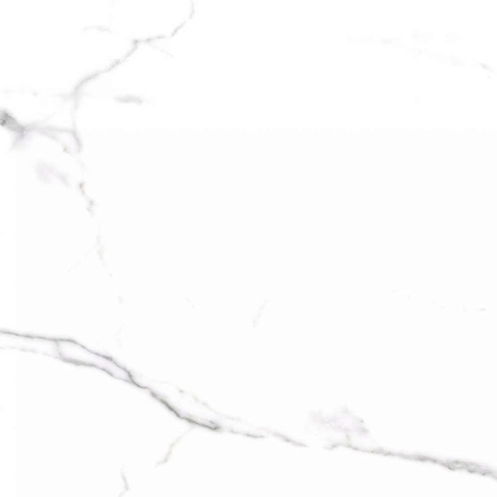 PrimaVera Tile Керамогранит Керамогранит 60x60 Polished Salvatore Полированный — фото 7