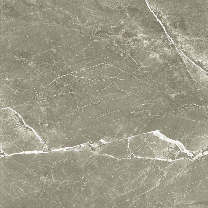 Матовый Prissmacer Fior Di Bosco Noce 60x60 — фото 8
