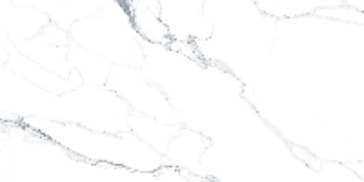 Напольная Prissmacer Statuarietto Statuariett White Natural 60х120 — фото 2