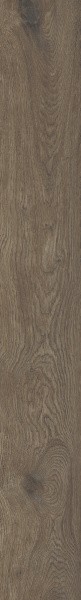 Матовый Ragno RCDE Boheme Castagno Rett 20x150