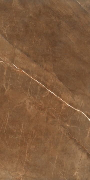 Напольная Realistik Nature Pulpis Brown 60х120 — фото 2
