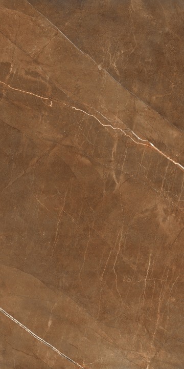 Напольная Realistik Nature Pulpis Brown 60х120 — фото 3