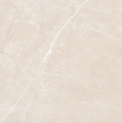 Напольная Realistik Nature Pulpis Grey Alabaster 60х60 — фото 6