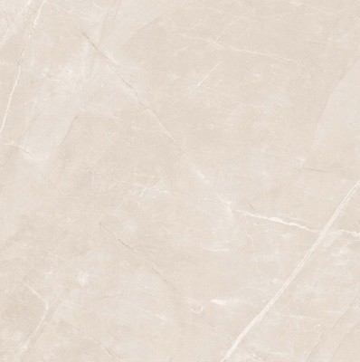 Напольная Realistik Nature Pulpis Grey Alabaster 60х60 — фото 7