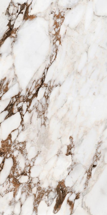 Полированный Rex Ceramiche Les Bijoux Bijoux Breche Capraia Gloss 60x120 (766333) — фото 18