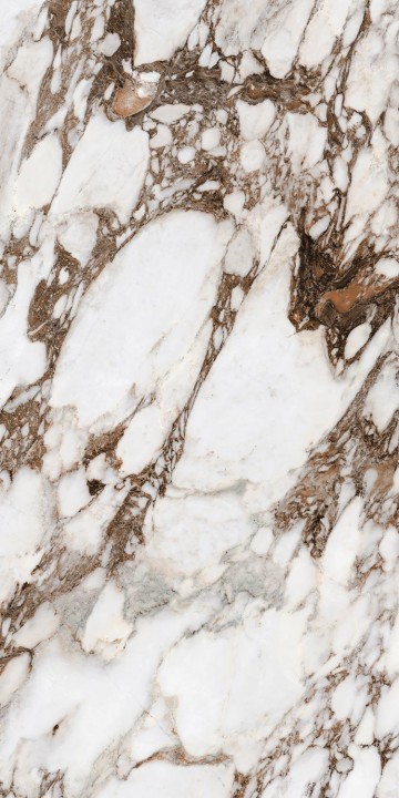 Полированный Rex Ceramiche Les Bijoux Bijoux Breche Capraia Gloss 60x120 (766333) — фото 29