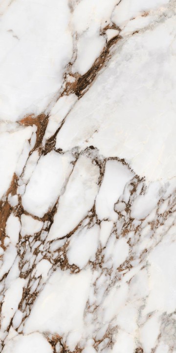 Полированный Rex Ceramiche Les Bijoux Bijoux Breche Capraia Gloss 60x120 (766333) — фото 8