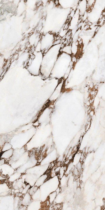 Полированный Rex Ceramiche Les Bijoux Bijoux Breche Capraia Gloss 60x120 (766333) — фото 9