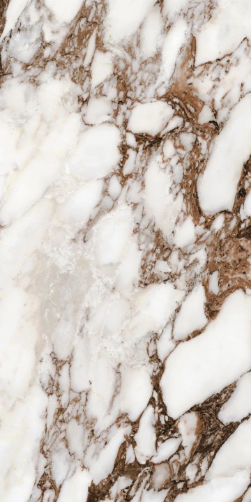 Полированный Rex Ceramiche Les Bijoux Bijoux Breche Capraia Gloss 60x120 (766333) — фото 10