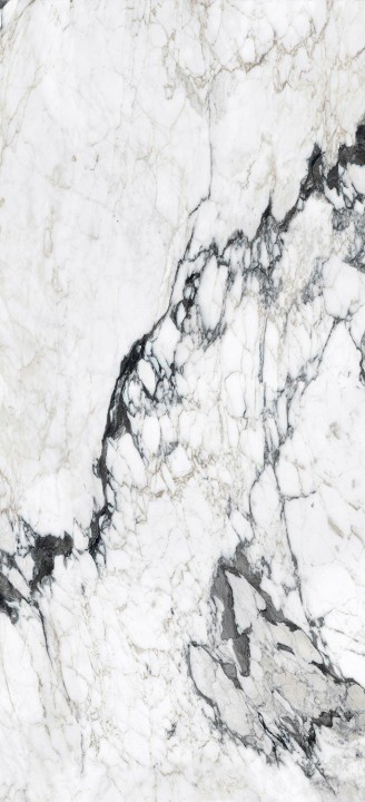 Матовый Rex Ceramiche Les Bijoux Bijoux Calacatta Altissimo Blanc Matt 80x180 — фото 11