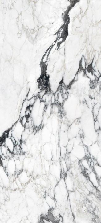 Матовый Rex Ceramiche Les Bijoux Bijoux Calacatta Altissimo Blanc Matt 80x180 — фото 14