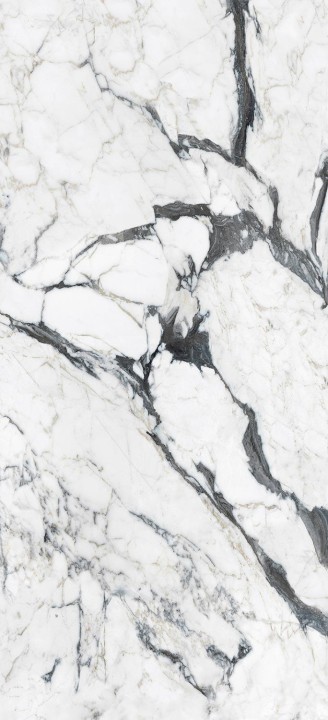 Матовый Rex Ceramiche Les Bijoux Bijoux Calacatta Altissimo Blanc Matt 80x180 — фото 8
