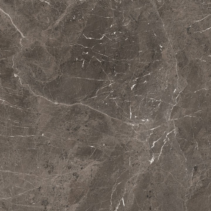 Полированный Rex Ceramiche Magnum Brown Glossy 6mm 120x120 — фото 4