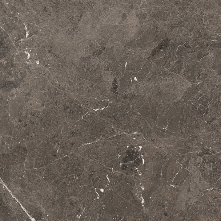 Полированный Rex Ceramiche Magnum Brown Glossy 6mm 120x120 — фото 3