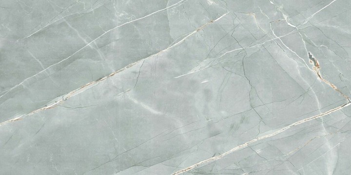 Полированный Керамогранит Royce Tile William Grey Polished R_PR2019 60х120 см — фото 2