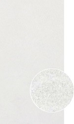 Напольная Serapool Olympic Series 80133 White Antislip 12,5х25 — фото 2