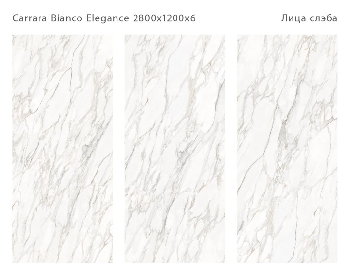 StaroSlabs Керамический слэб С0005676 Carrara Bianco Elegance Polished 120х280 белый полированный под мрамор — фото 2