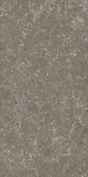 Матовый STN Ceramica Verity Natural Mt Rect. 60x120 — фото 3