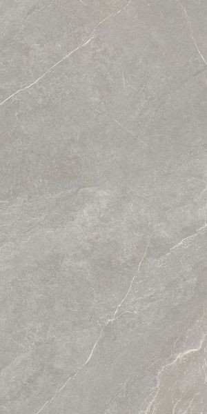 Матовый Vitra K948700R0001VTER ArdeStone Серый Мат R10A 60x120 — фото 4