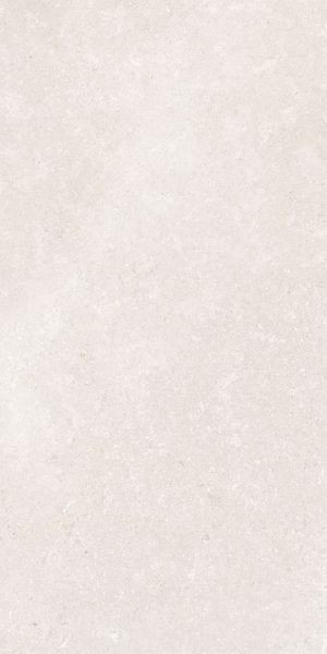 Напольная Vitra K948597R0001VTER SandStone Белый Мат R10A 60x120 — фото 7