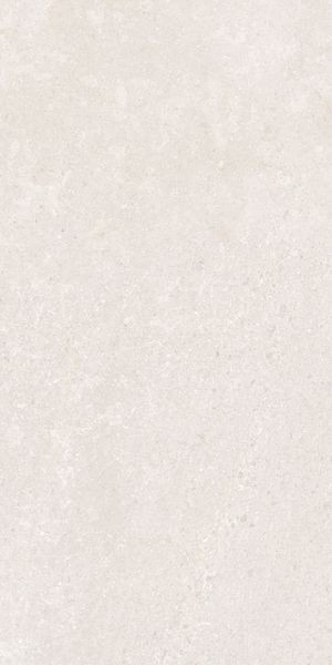 Напольная Vitra K948597R0001VTER SandStone Белый Мат R10A 60x120 — фото 8