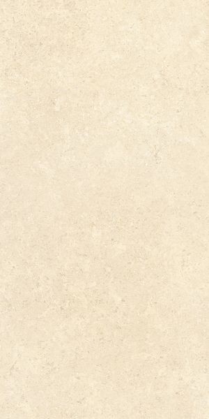 Напольная Vitra K948598R0001VTER SandStone Песочный Мат R10A 60x120 — фото 4