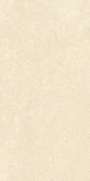 Напольная Vitra K948598R0001VTER SandStone Песочный Мат R10A 60x120 — фото 8