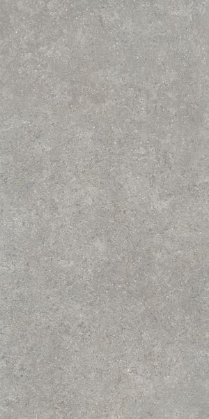 Напольная Vitra K948634R0001VTER SandStone Серый Мат R10A 60x120 — фото 2