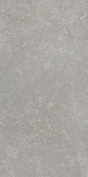 Напольная Vitra K948634R0001VTER SandStone Серый Мат R10A 60x120 — фото 3