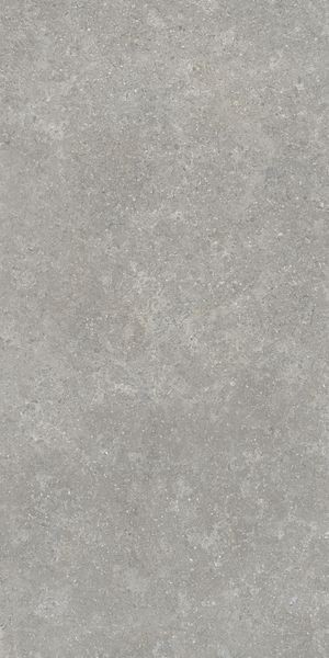 Напольная Vitra K948634R0001VTER SandStone Серый Мат R10A 60x120 — фото 4