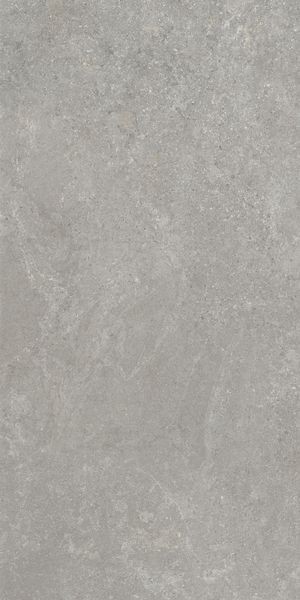 Напольная Vitra K948634R0001VTER SandStone Серый Мат R10A 60x120 — фото 5