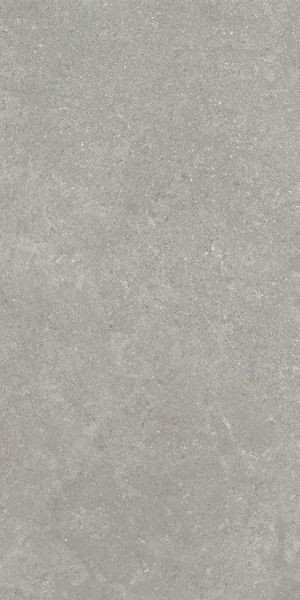 Напольная Vitra K948634R0001VTER SandStone Серый Мат R10A 60x120 — фото 6