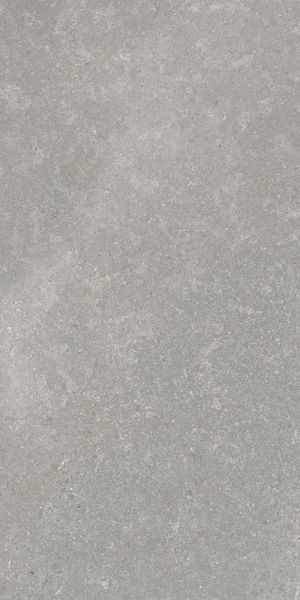 Напольная Vitra K948634R0001VTER SandStone Серый Мат R10A 60x120 — фото 7