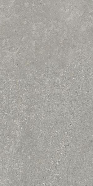 Напольная Vitra K948634R0001VTER SandStone Серый Мат R10A 60x120 — фото 8