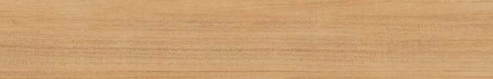 Vives Декор керамогранит World Woods Nordland-R Beige 19,2x119.3