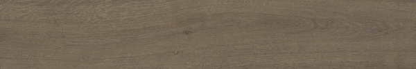 Матовый APE Authentic Roman Rect 25x150
