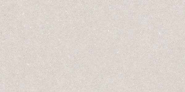 Матовый APE Ceramica Greystone Essence White Rect 60x120 — фото 2