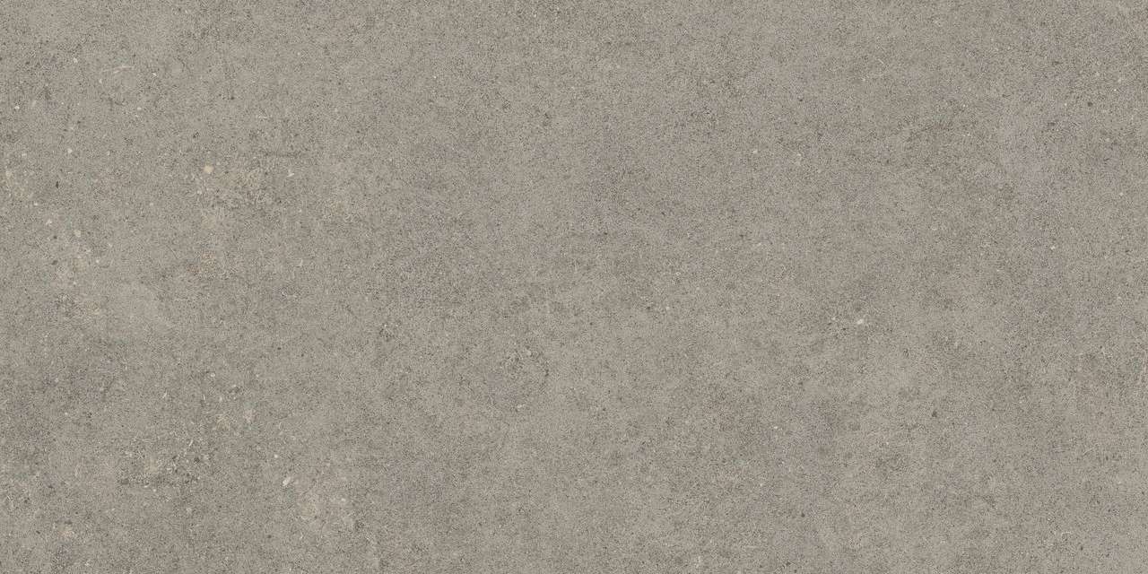 Матовый Керамогранит Atlas Concorde Forte Dei Marmi Rock Lunar Grey Rett 60x120