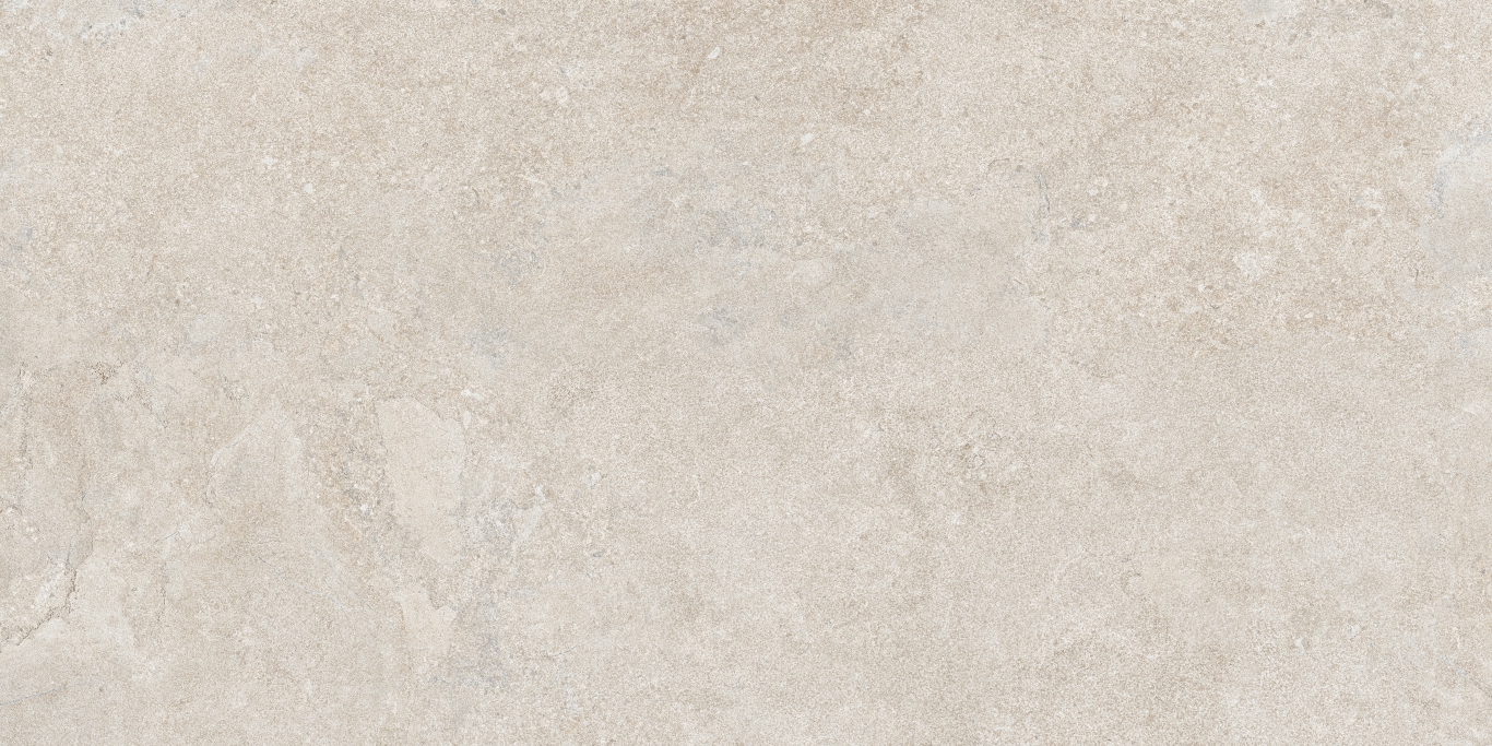 Матовый Baldocer Керамогранит Orion Bone Rect 60х120