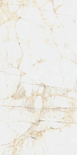 Матовый ColiseumGres Керамогранит CANOVA WHITE RET (610010005765) 60x120