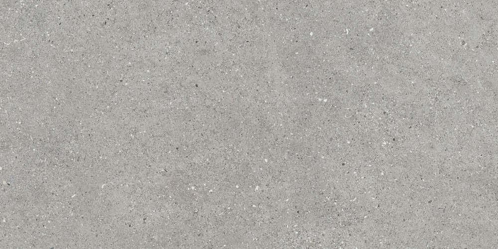 Матовый Duna Керамогранит Ceppo Gris Carving 60x120