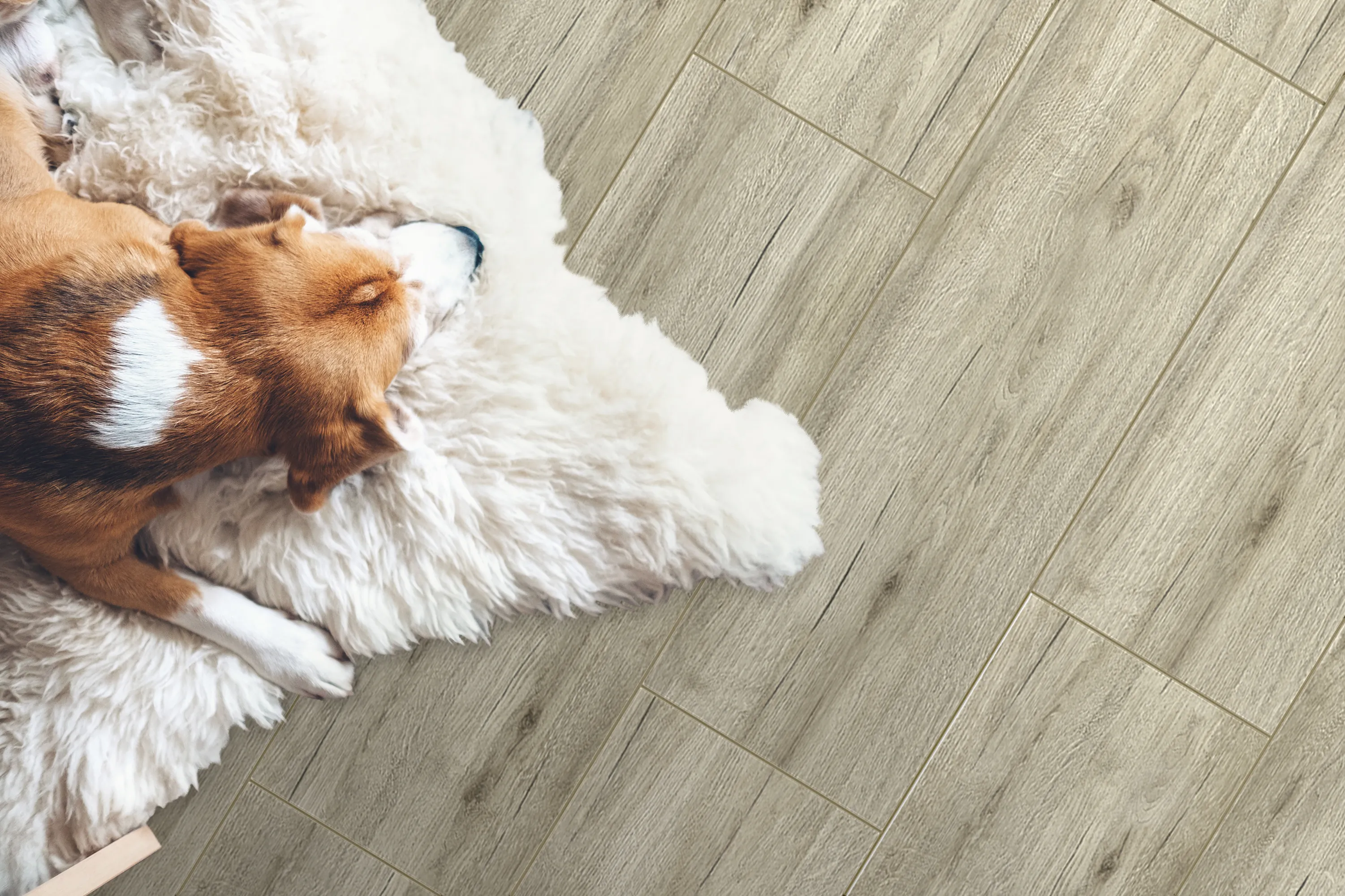 Фото в интерьере Global Tile Джизак
