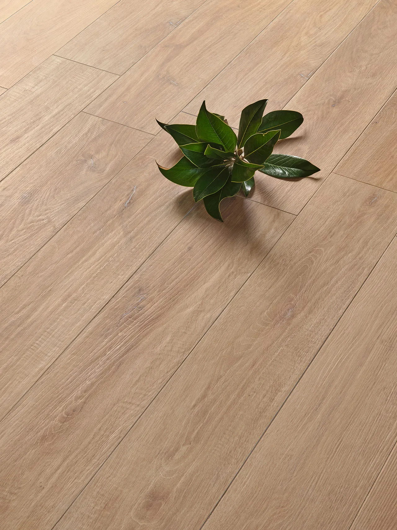 Фото в интерьере Isla Tiles Legni D Italia