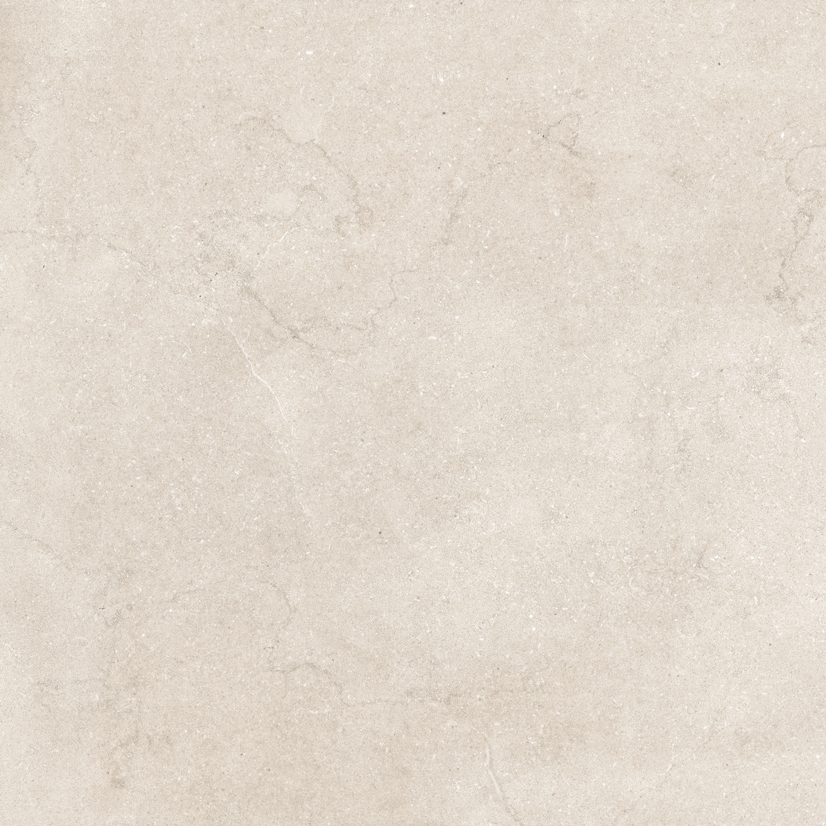 Матовый Neodom Stone Eden Light  Matt 120x120