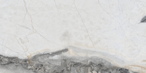 Полированный Neodom Titanium Statuario Gold Polished 120x278 — фото 7
