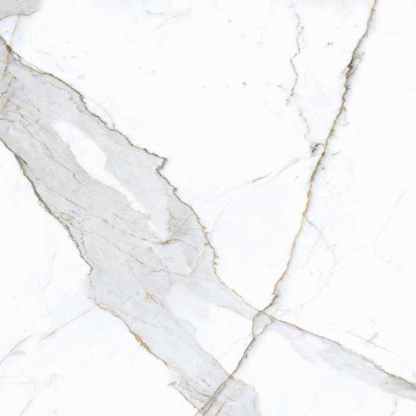 PrimaVera Tile Керамогранит Керамогранит 60x60 Матовый Dario Matt — фото 4